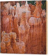 Bryce Hoodoos Wood Print