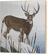 Buck At Waters Edge Wood Print