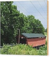 Buckskin Bridge - A Distant View Wood Print