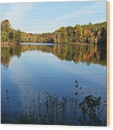 Buddy Attick Lake Park Wood Print