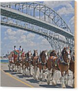 Budweiser Clydesdales Wood Print