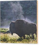 Buffalo Steam-signed-#2170 Wood Print