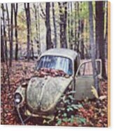 #bug #beetle #old #scrap #walk #forest Wood Print