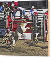 Bull Riding Wood Print