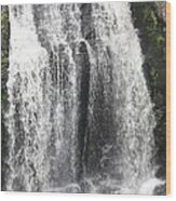 Bushkill Waterfalls Wood Print