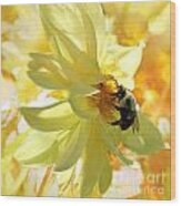 Busy Bumble Bee Wood Print