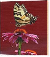 Butterfly 2 2013 Wood Print