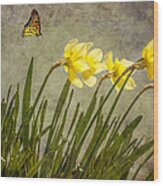 Butterfly And Daffodils Wood Print