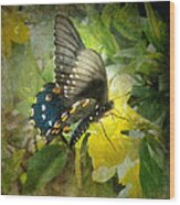 Butterfly And Jasmine Wood Print