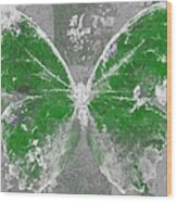 Butterfly Art - D04vb Wood Print