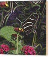 Butterfly Garden 19 - Zebra Heliconian Wood Print