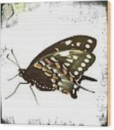 Butterfly Grunge Wood Print