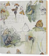 Butterfly Observations Wood Print