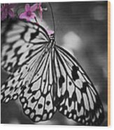 Butterfly On Pink Flowers Wood Print