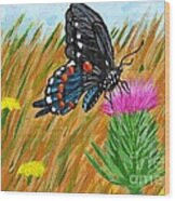 Butterfly On Thistle Wood Print