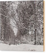 By The Snowy Path. Russia Wood Print
