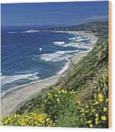 Cachagua Coastline Chile Wood Print