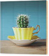 Cactus Growing In Teacup On Desk Wood Print