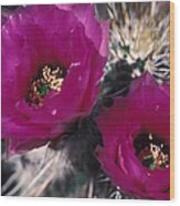 Cactus Wildflower Wood Print