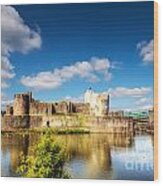 Caerphilly Castle 11 Wood Print