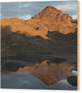 Cajas National Park (3000-4,400m Wood Print