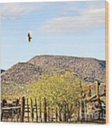 California Condors In Arizona Wood Print
