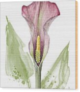 Calla Lily 01 - Elena Yakubovich Wood Print