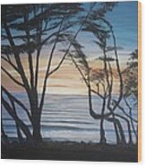 Cambria Cypress Trees At Sunset Wood Print