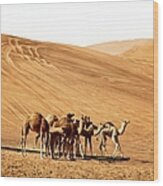 Camel Meeting In Desert Wood Print