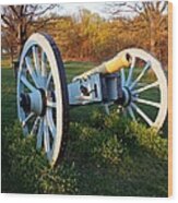 Cannon In The Grass Wood Print
