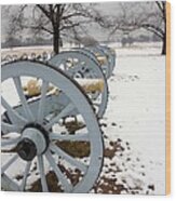 Cannon's In The Snow Wood Print