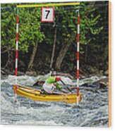 Canoe Paddler In Gate 7 Wood Print