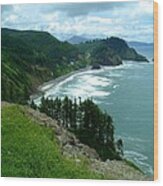 Cape Meares Wood Print