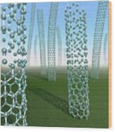 Carbon Nanotubes Growing In Grassy Plain Wood Print