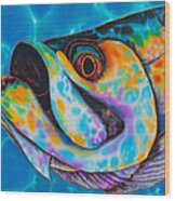 Caribbean Tarpon Fish Wood Print