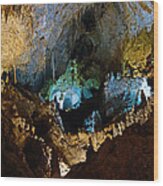 Carlsbad Caverns Study 16 Wood Print