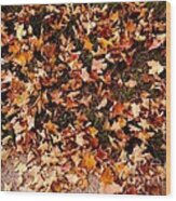 Carpet Of Autumn Leaves Wood Print