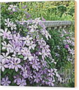 Cascading Clematis Wood Print