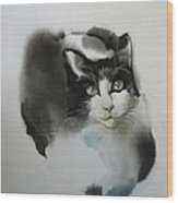 Cat In Black And White Wood Print