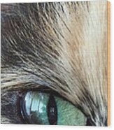 Cat's Eye Wood Print