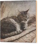 Cat On The Bed Painterly Wood Print