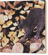 Cat Stretching On Firewood Wood Print
