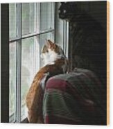Cats In Window Wood Print