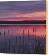 Cattails In The Gloaming Wood Print