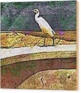 S Cattle Egret In Town - Square Wood Print