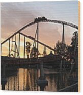 Cedar Point - Maverick - 12121 Wood Print