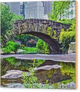 Central Park Nature Oasis Wood Print