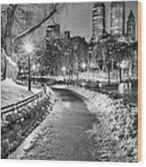 Central Park Path Night Black & White Wood Print