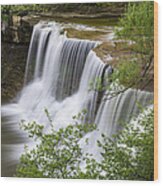 Chagrin Falls Wood Print