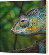 Chameleon On Tree Wood Print